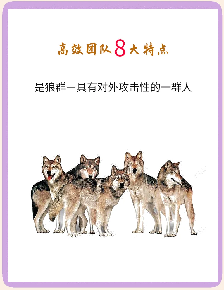 澳门新葡京官方入口_团队默契持续提升，配合更加自然(怎样写团队的默契配合)